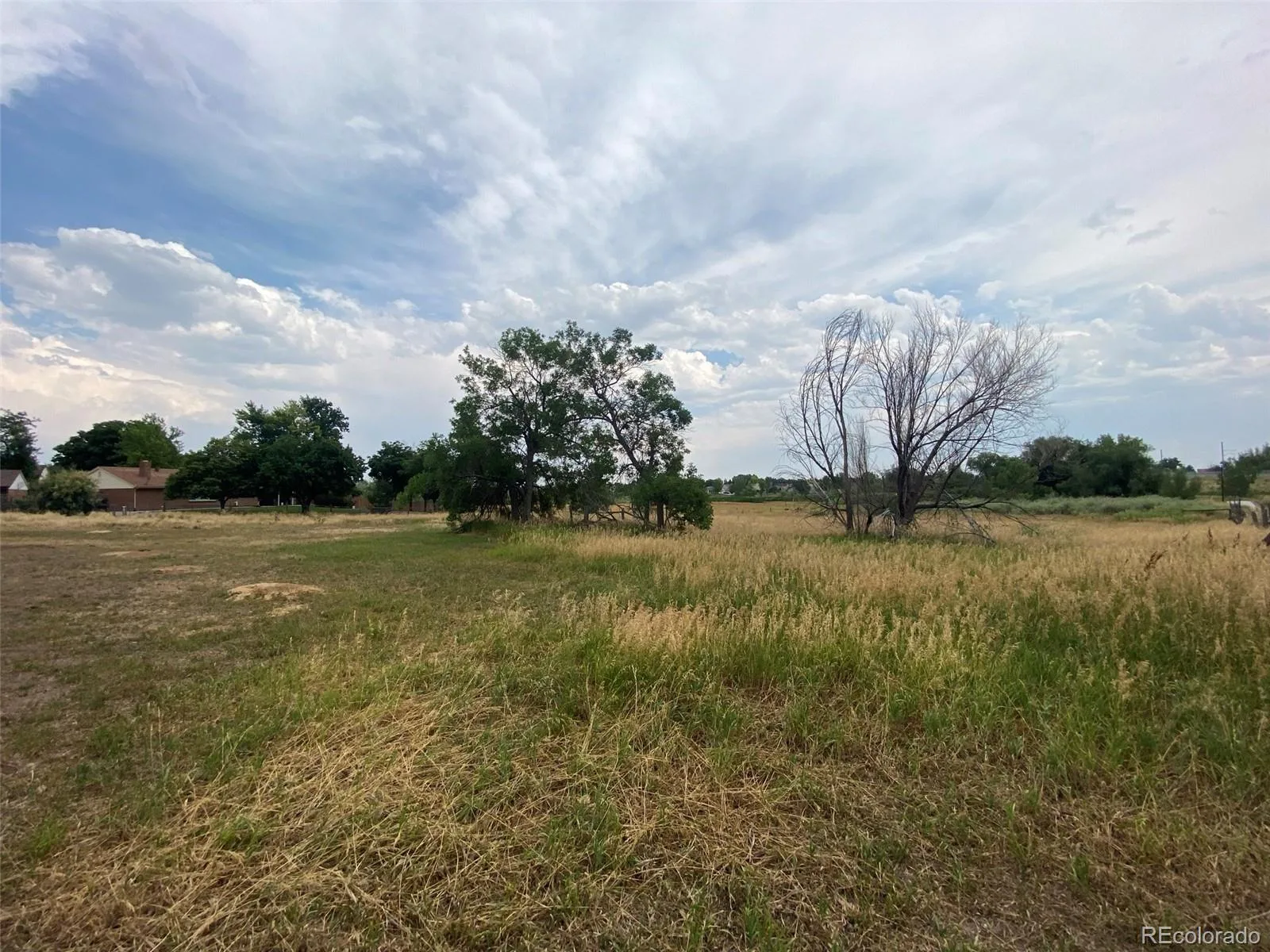 12380 York Street Thornton CO 80241 | MLS #REC2559473 08062026225506 1600 20