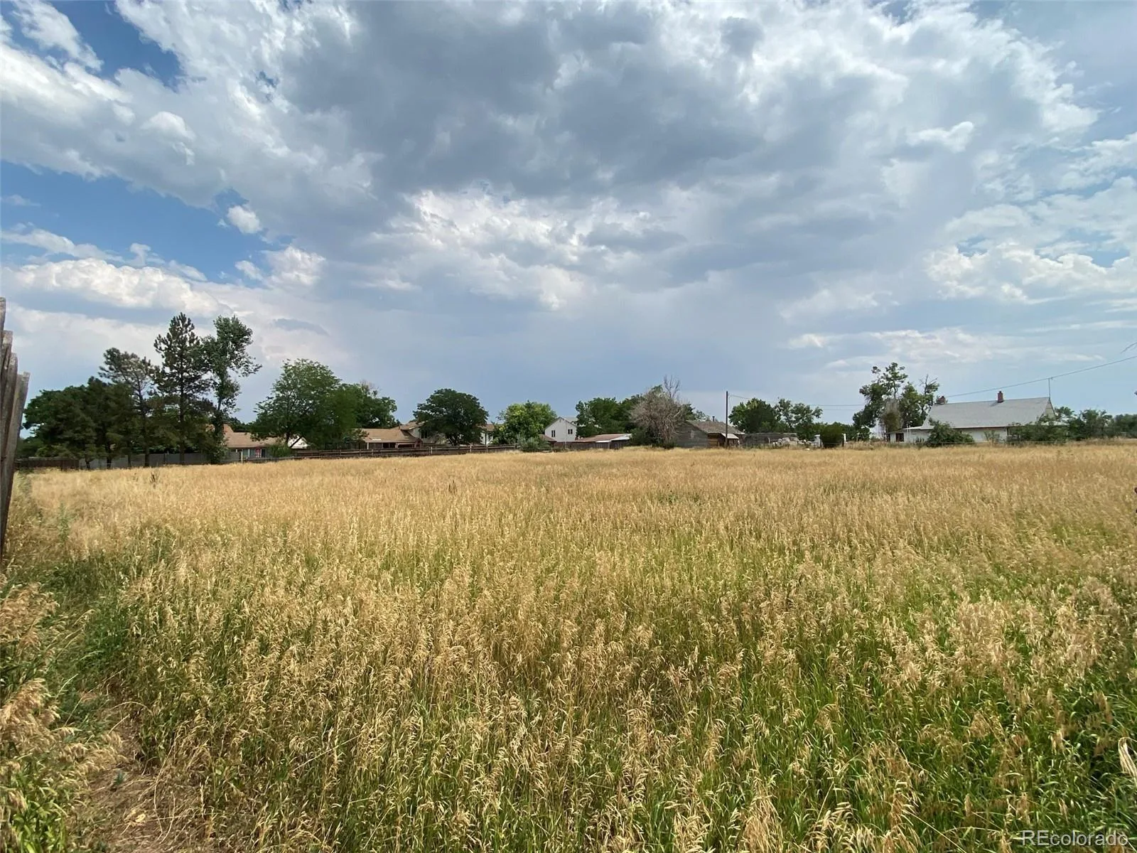 12380 York Street Thornton CO 80241 | MLS #REC2559473 08062026225506 1600 9
