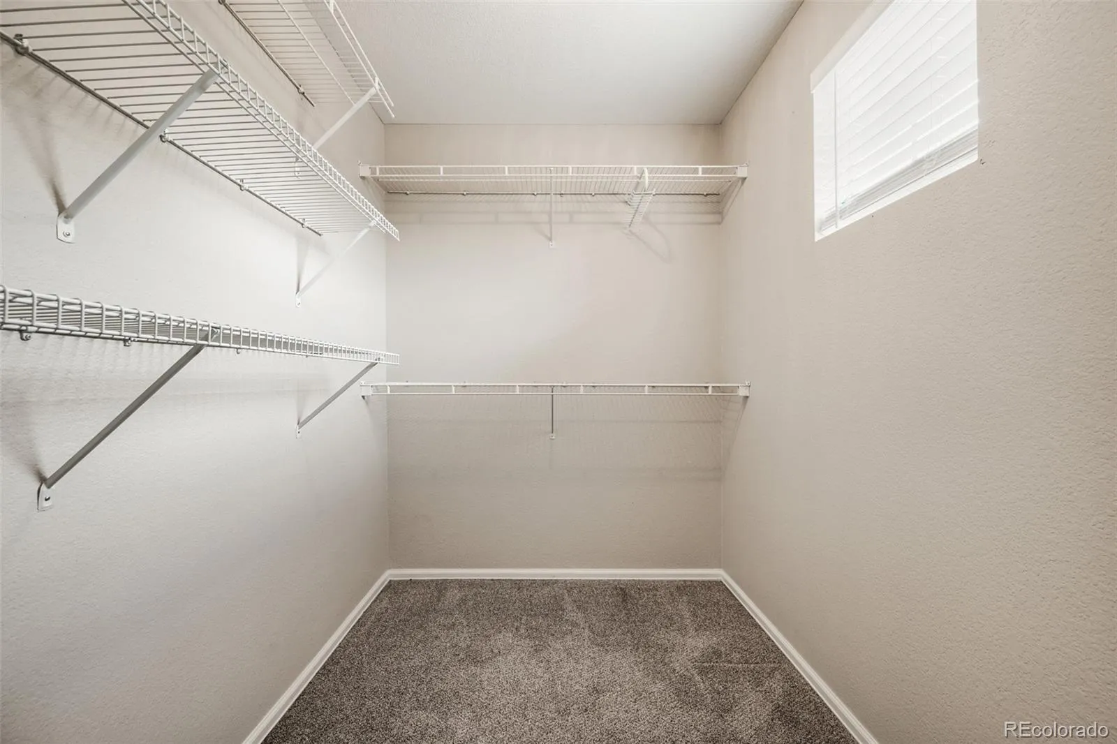 9068 Gale Boulevard #1 Thornton CO 80260 MLS #REC5986011 05192026053643 1600 17