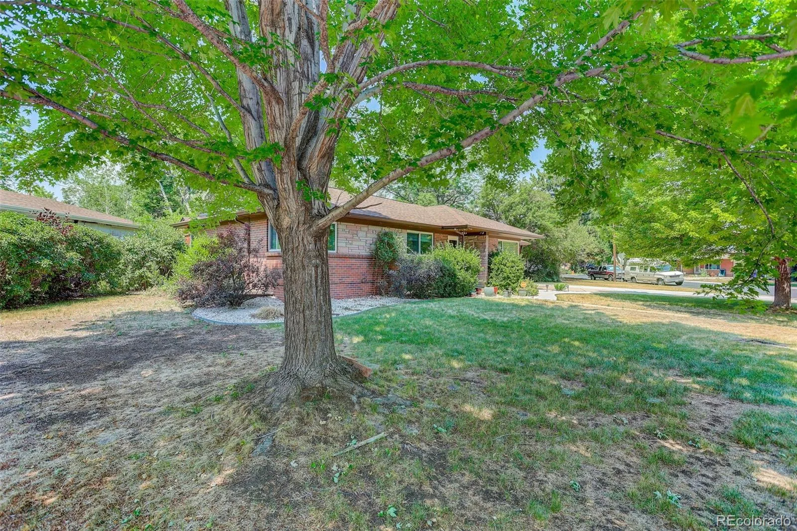 465 Cody Drive Denver CO 80226 MLS #REC5988135 07032026205217 1600 6