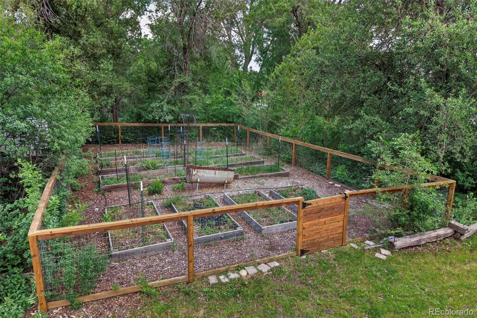 1050 Pikeview Street Lakewood CO 80215 | MLS #REC5988390 08282026204024 1600 39