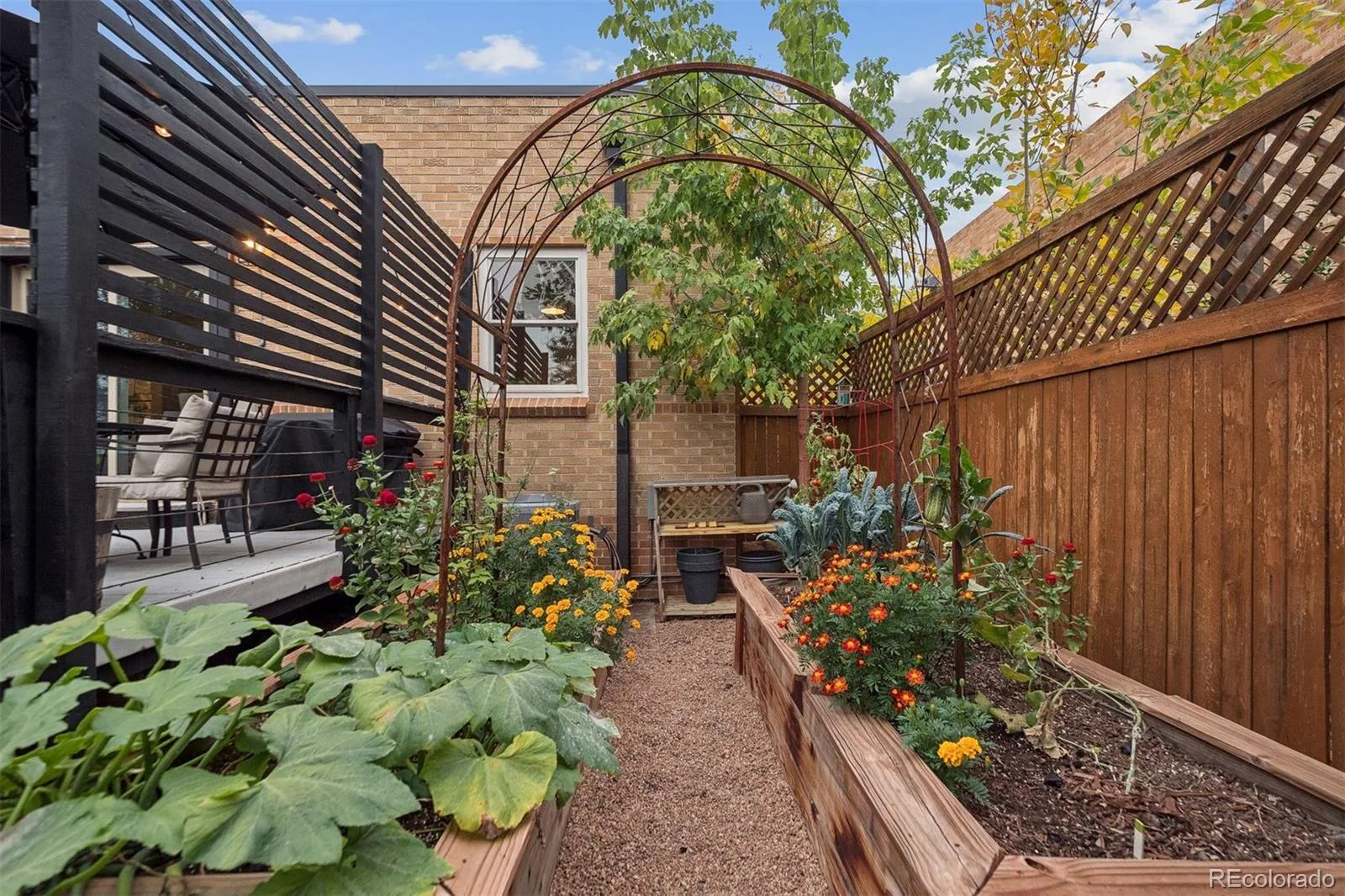 788 Glencoe Street Denver CO 80220 MLS #REC5990027 06102026162338 1600 20