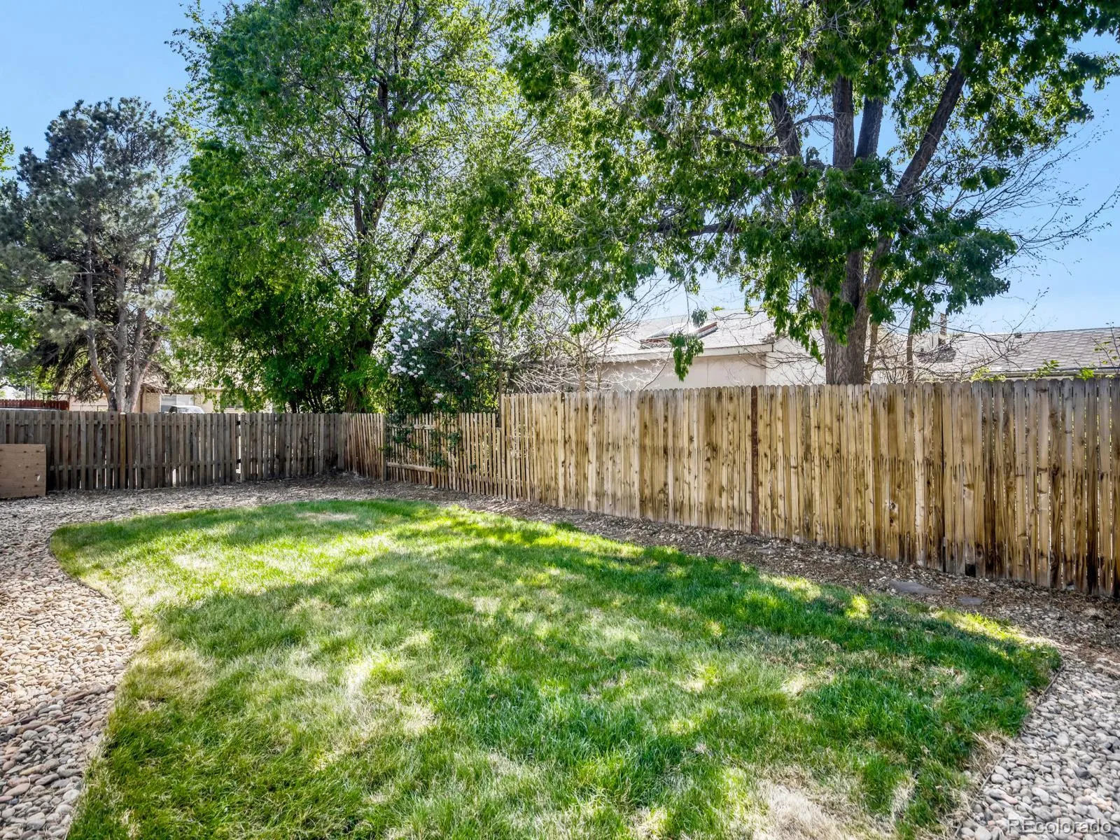 04222026041957 1600 25