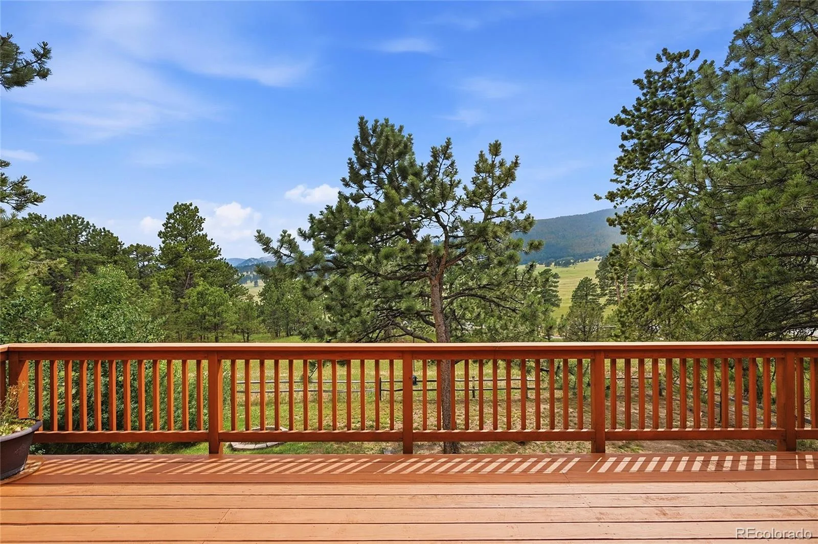 2161 Torrey Pine Drive Evergreen CO 80439 | MLS #REC5994544 07092026223819 1600 11
