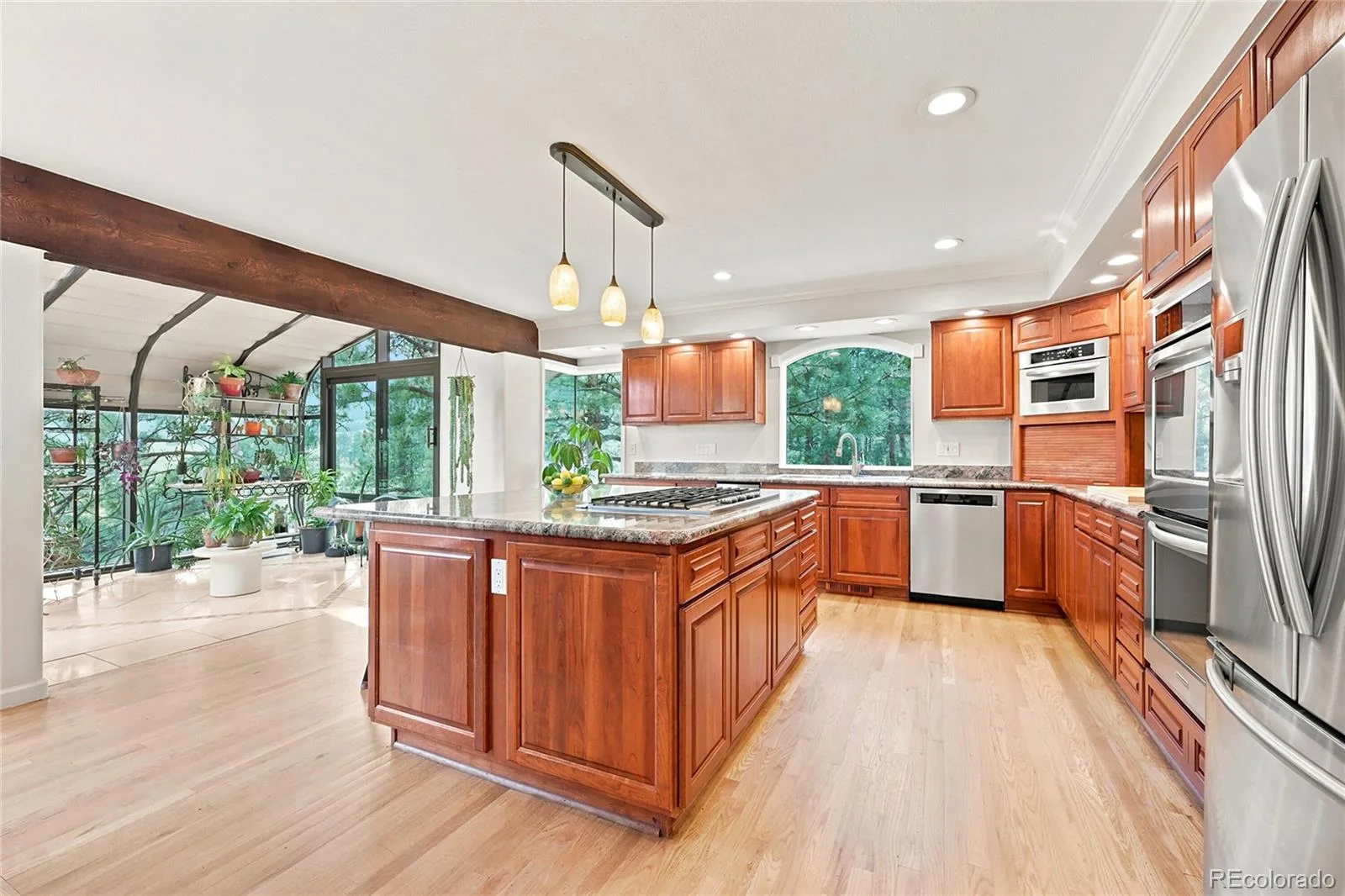 2161 Torrey Pine Drive Evergreen CO 80439 | MLS #REC5994544 07092026223819 1600 12