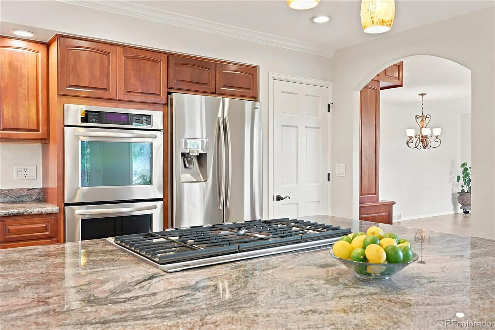 2161 Torrey Pine Drive Evergreen CO 80439 | MLS #REC5994544 07092026223819 1600 13