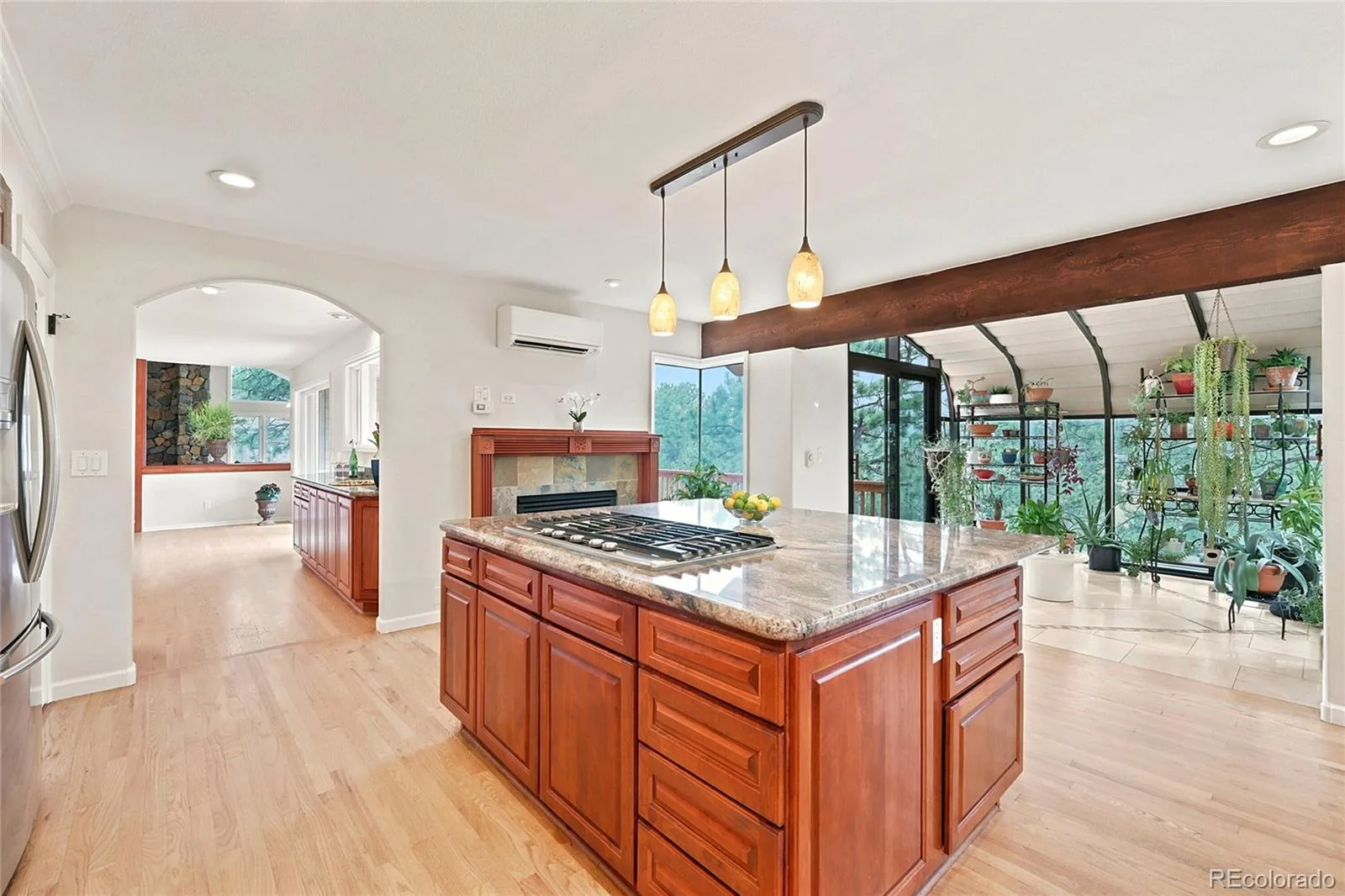 2161 Torrey Pine Drive Evergreen CO 80439 | MLS #REC5994544 07092026223819 1600 17