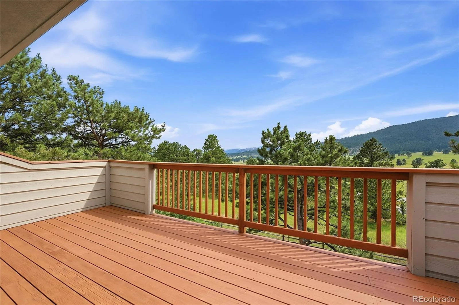 2161 Torrey Pine Drive Evergreen CO 80439 | MLS #REC5994544 07092026223819 1600 27