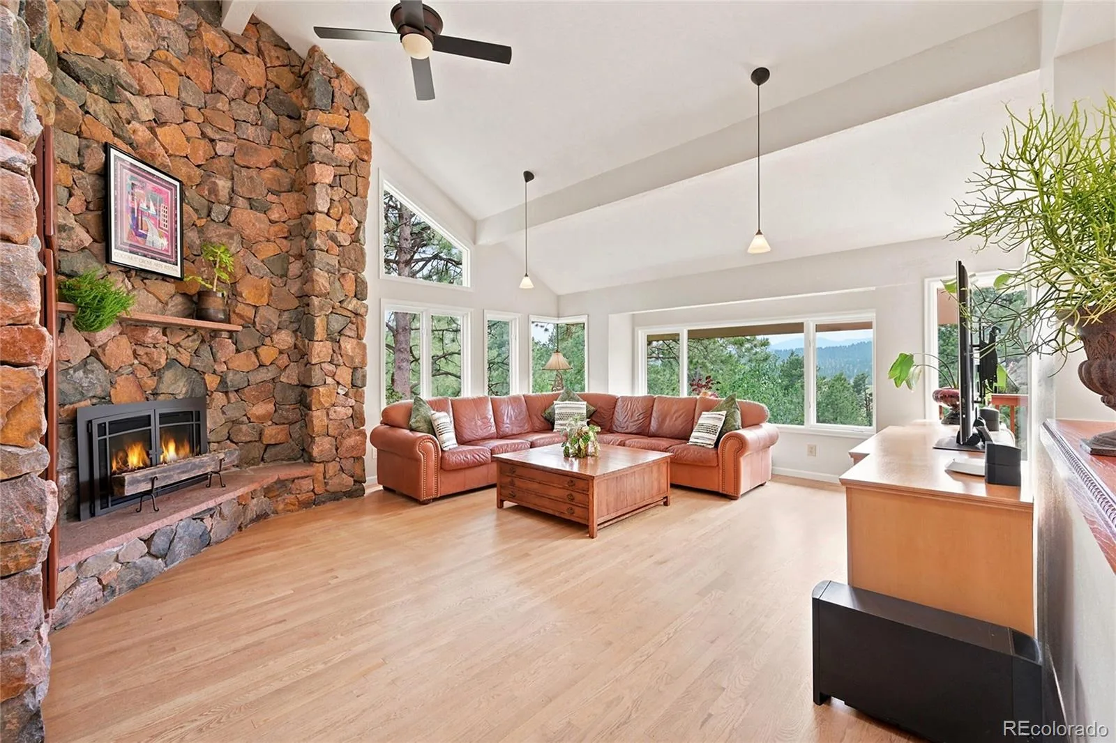2161 Torrey Pine Drive Evergreen CO 80439 | MLS #REC5994544 07092026223819 1600 4