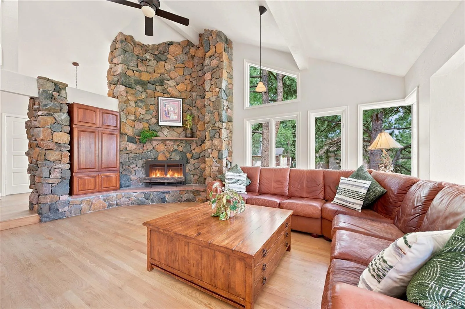 2161 Torrey Pine Drive Evergreen CO 80439 | MLS #REC5994544 07092026223819 1600 6
