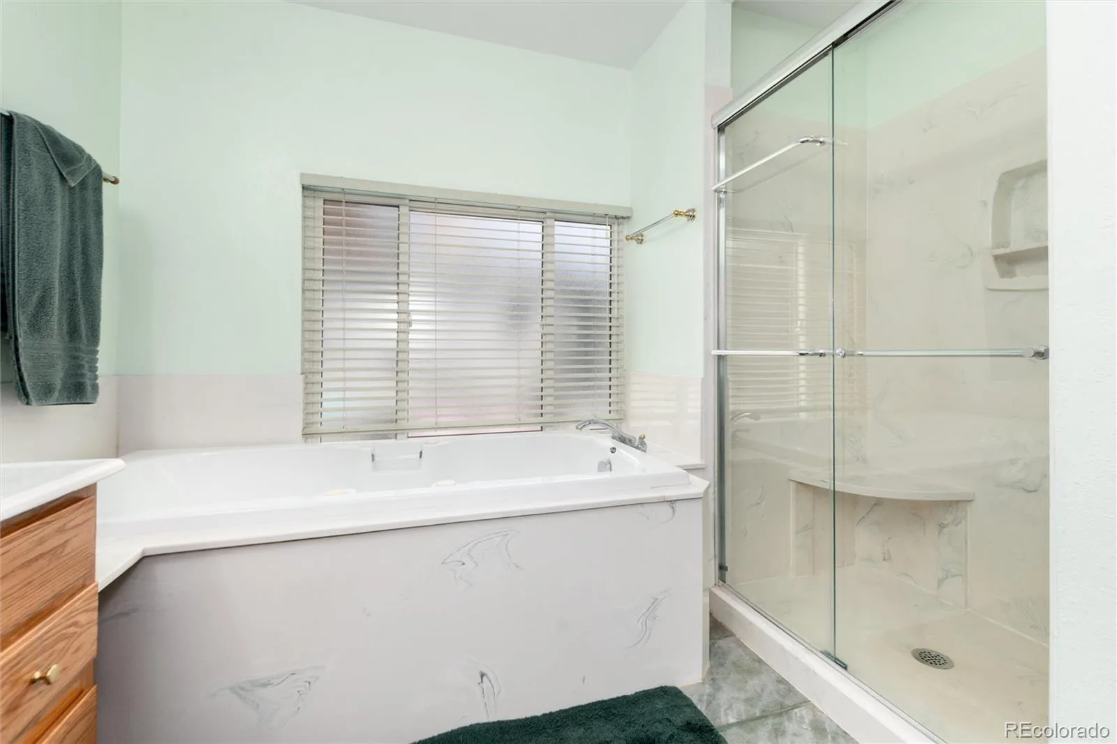 18396 E Berry Drive Centennial CO 80015 | MLS #REC6006059 07302026163156 1600 23
