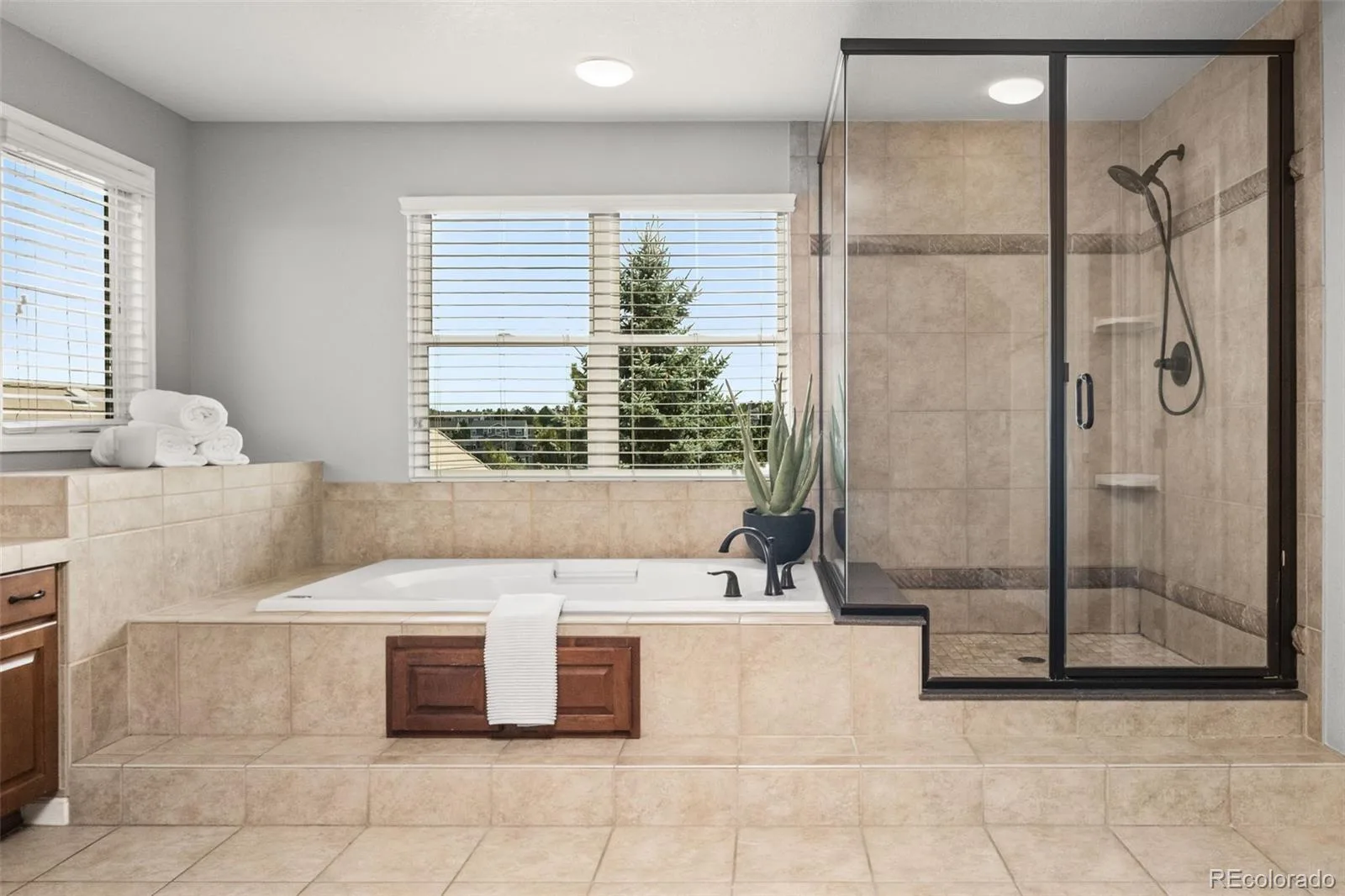 6577 Esperanza Drive Castle Rock CO 80108 MLS #REC6008694 07282026152900 1600 36