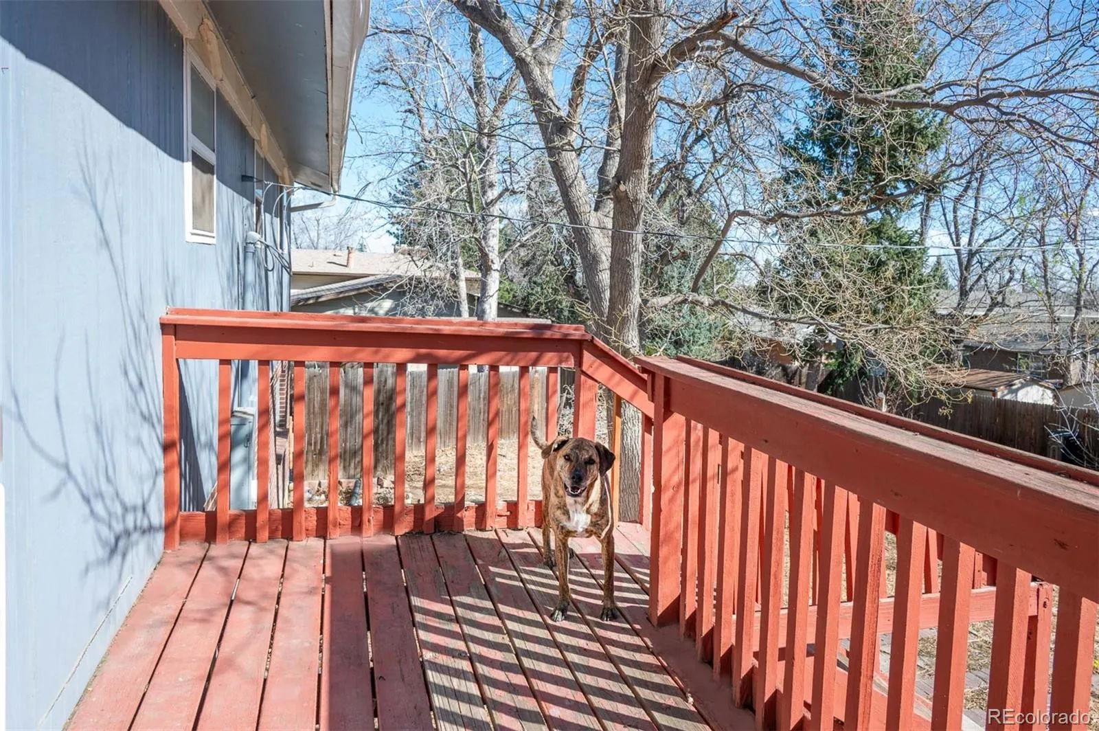 04102026135121 1600 12