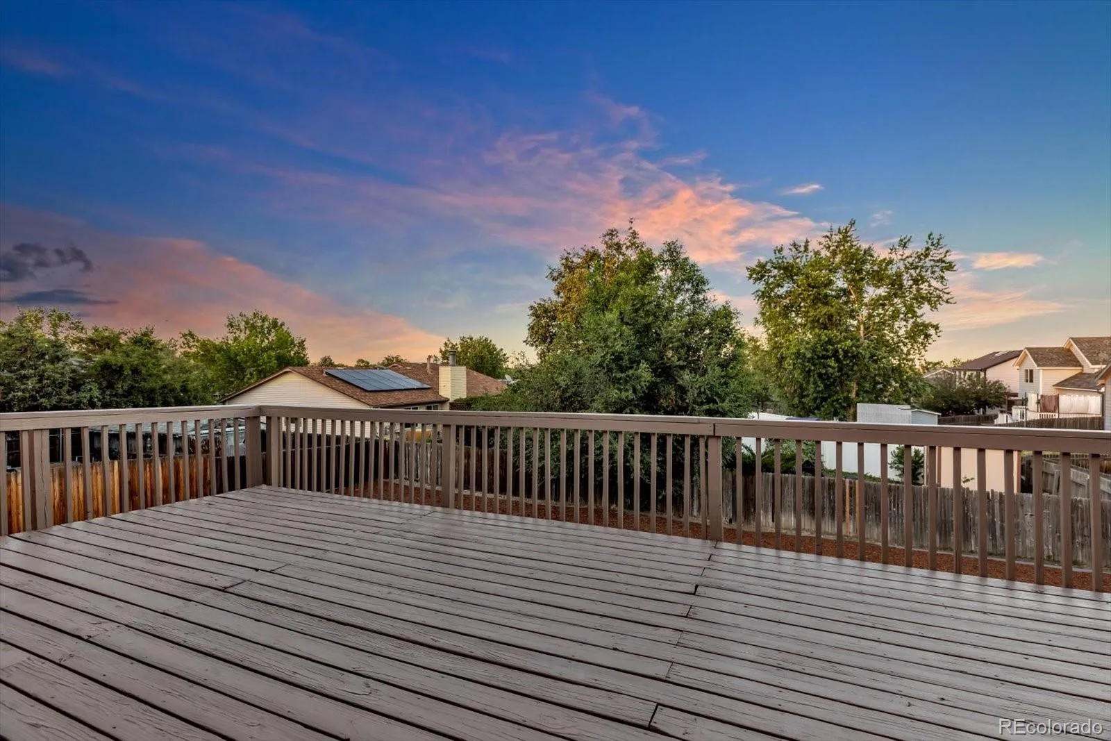9696 Downing Street Denver CO 80229 | MLS #REC6029210 07072026130303 1600 7