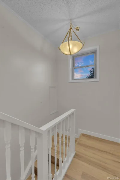 9696 Downing Street Denver CO 80229 | MLS #REC6029210 07072026130303 800 20