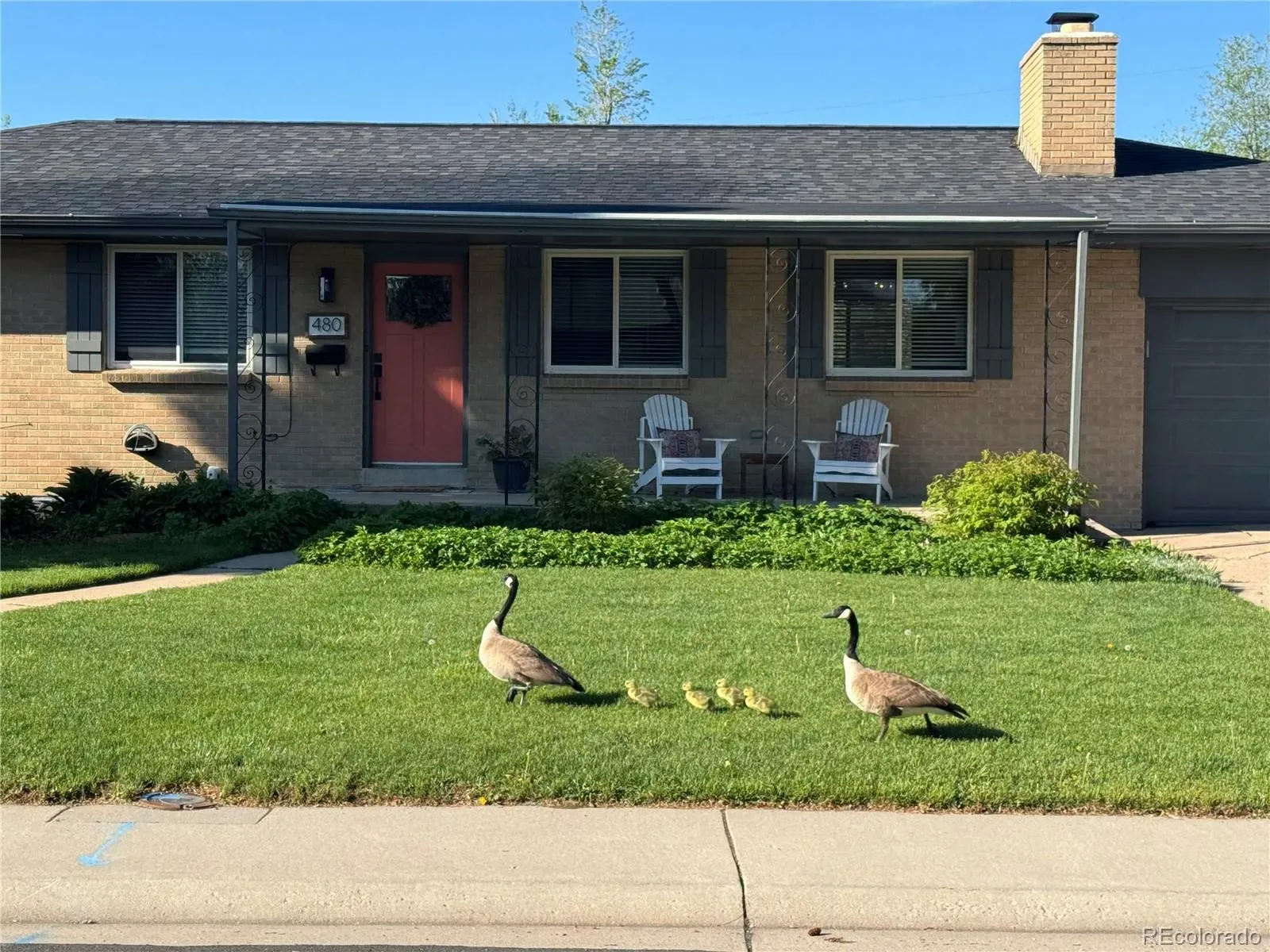 03262026190739 1600 49