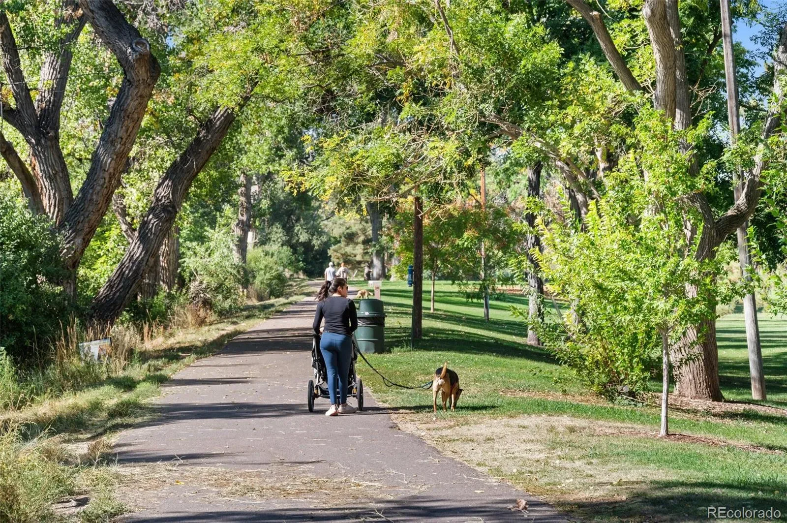 03232026193535 1600 44