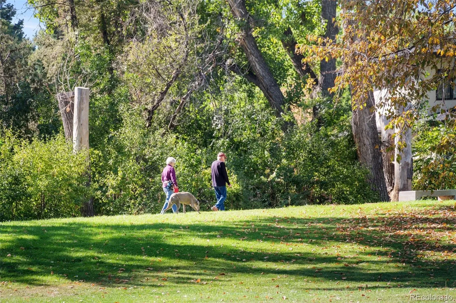 03232026193535 1600 45