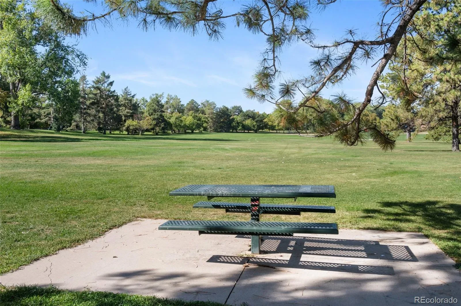 03232026193535 1600 47