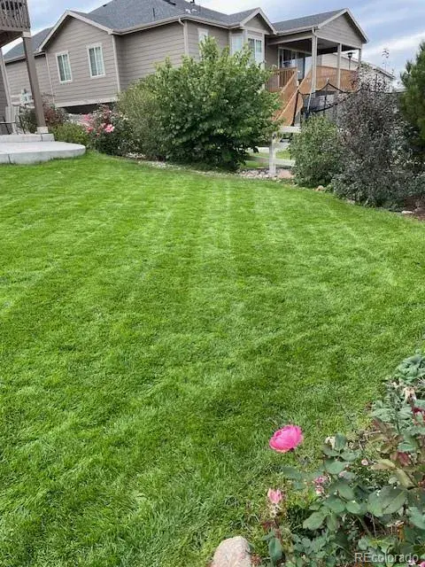 01152026182331 480 28