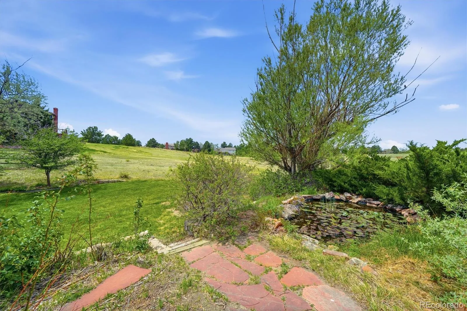 6929 S Chapparal E Circle Centennial CO 80016 MLS #REC6041819 05162026050248 1600 39