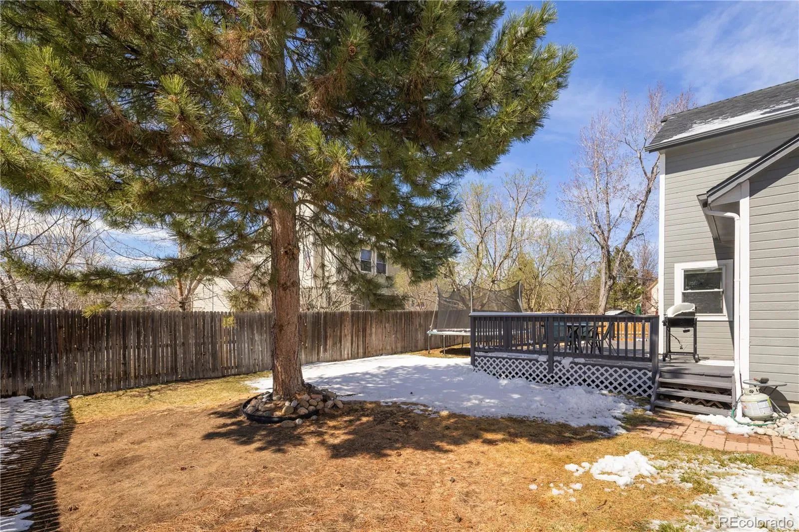 03182026224938 1600 30