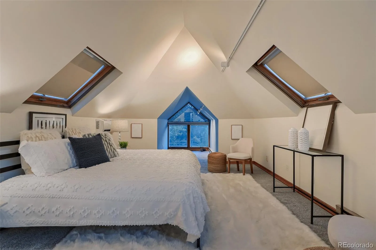 1060 Milwaukee Street Denver CO 80206 MLS #REC6050334 06082026233827 1600 24