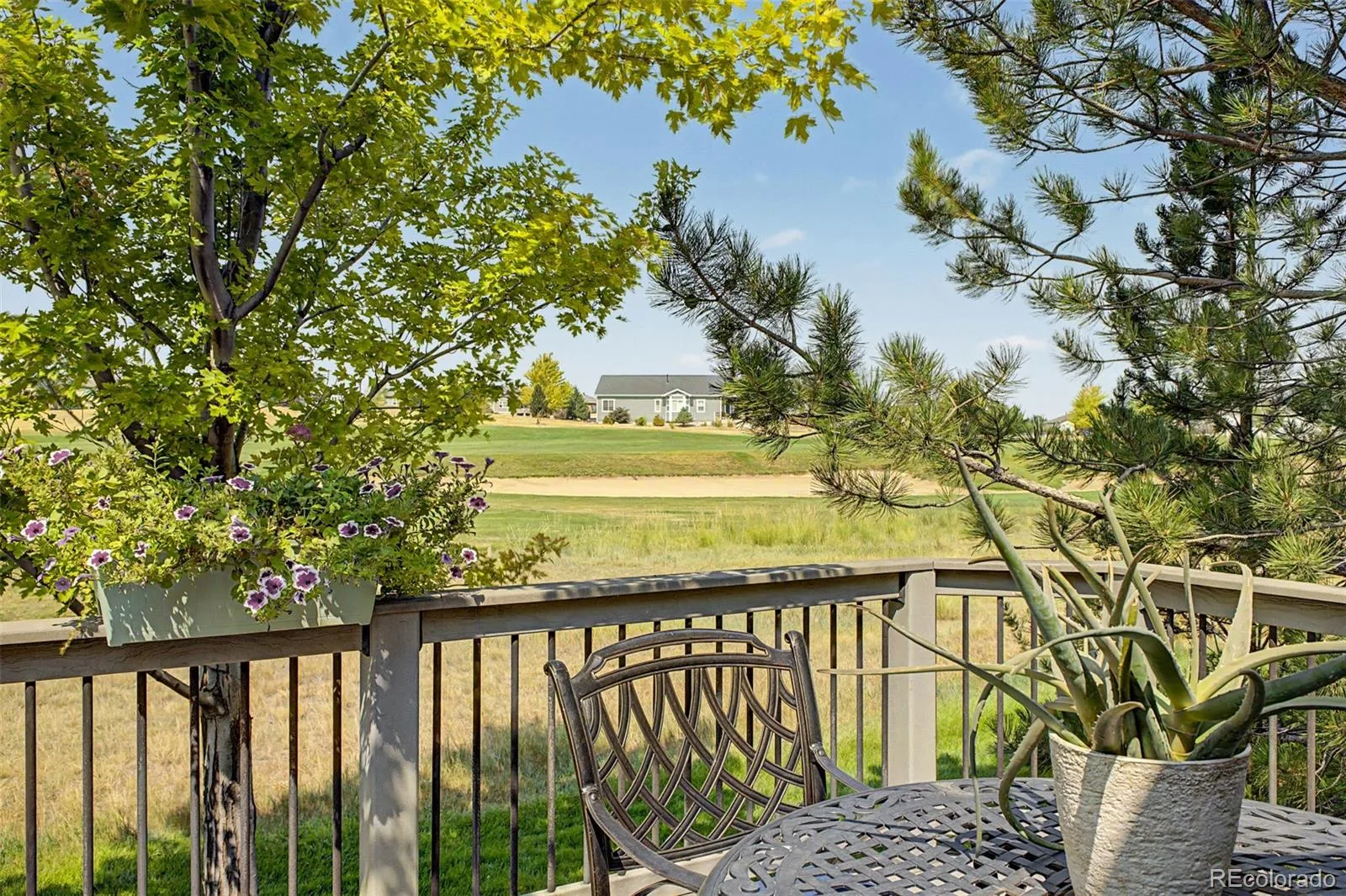 15027 Xenia Street Thornton CO 80602 | MLS #REC6050512 08082026162401 1600 44