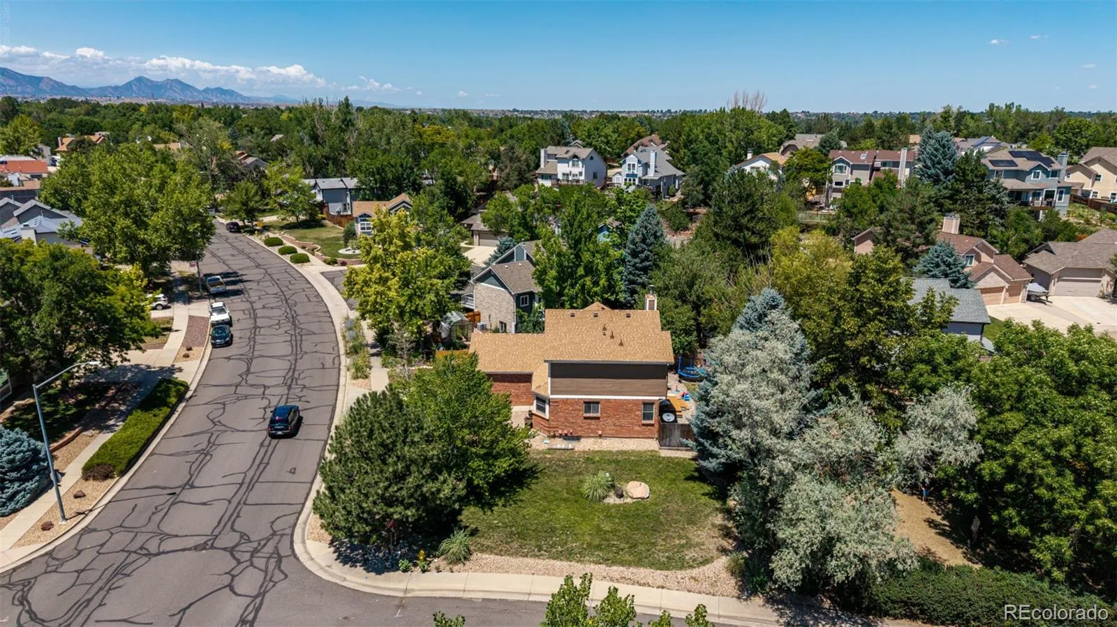 6004 Zang Way Arvada CO 80004 | MLS #REC6056659 07202026155538 1600 22