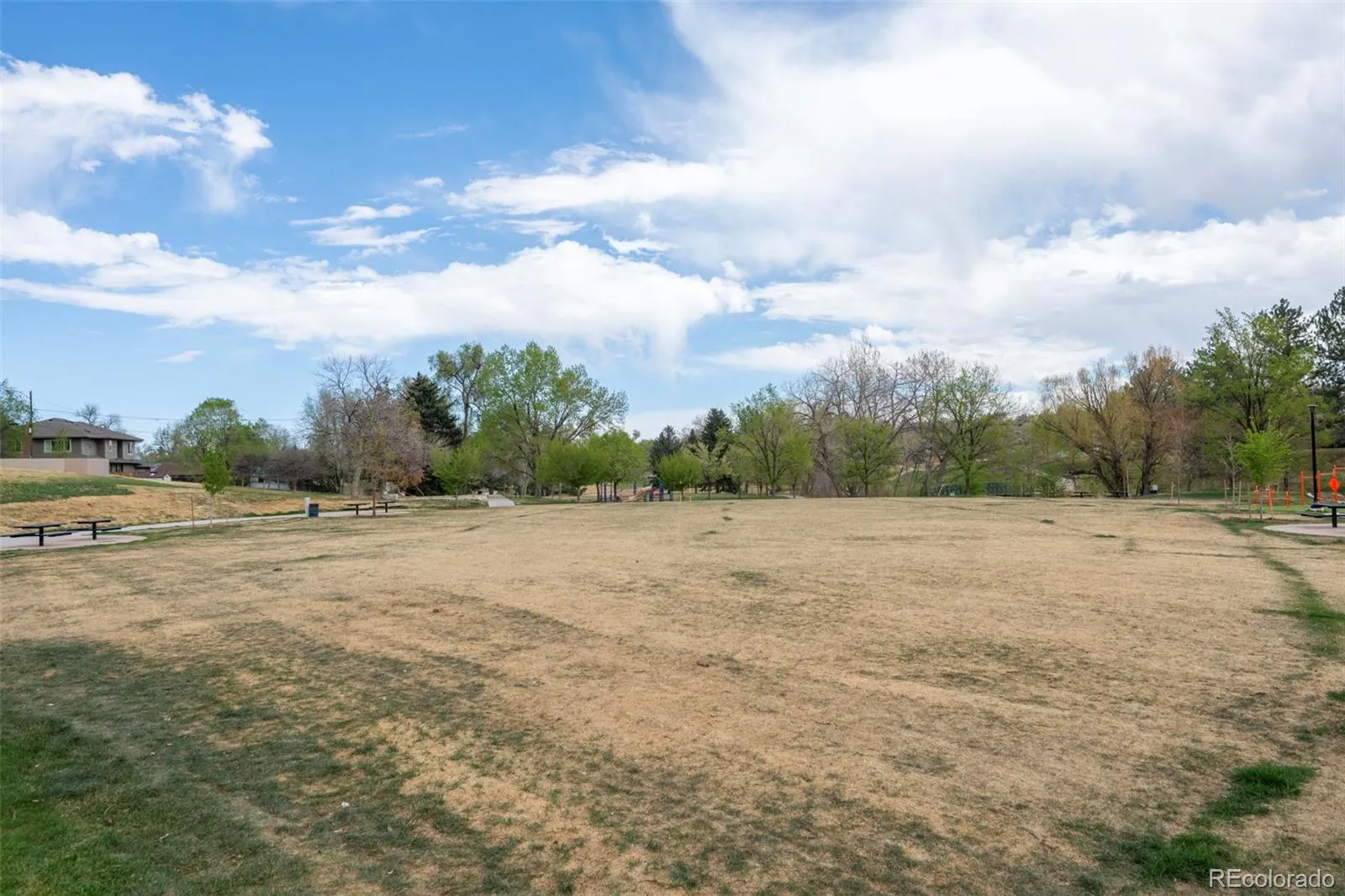 951 Tennyson Street Denver CO 80204 MLS #REC6057908 04082026165258 1600 36