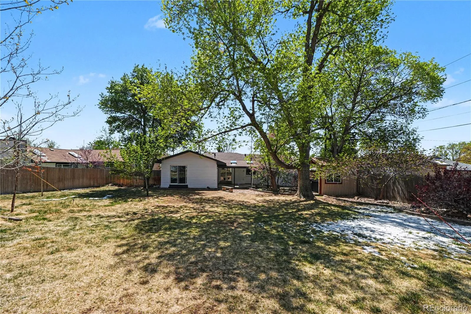 7870 Mccella Court Westminster CO 80030 MLS #REC6065914 05032026000903 1600 24