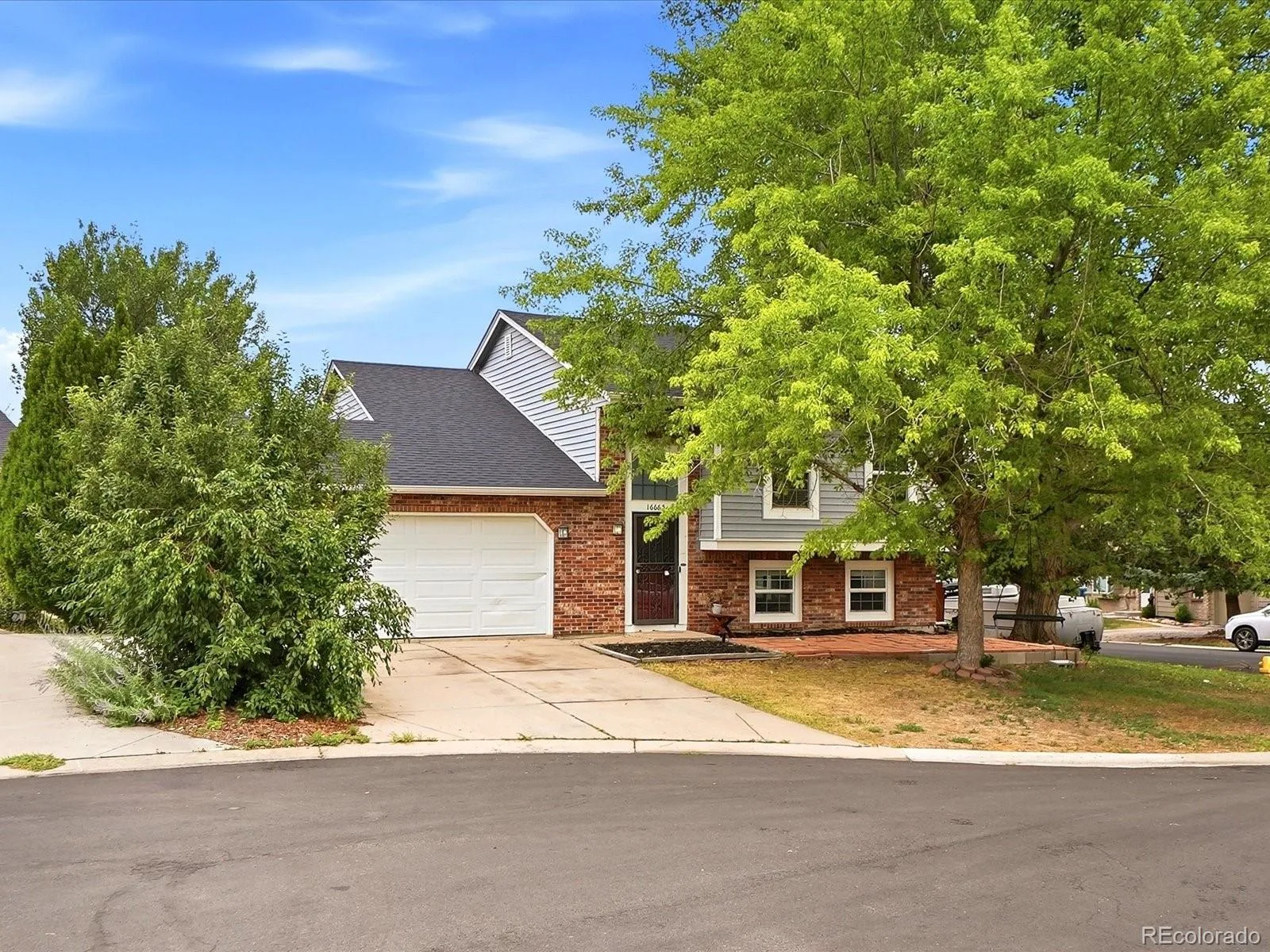 16665 Ninebark Way Parker CO 80134 | MLS #REC6067201 08192026203313 1600 3