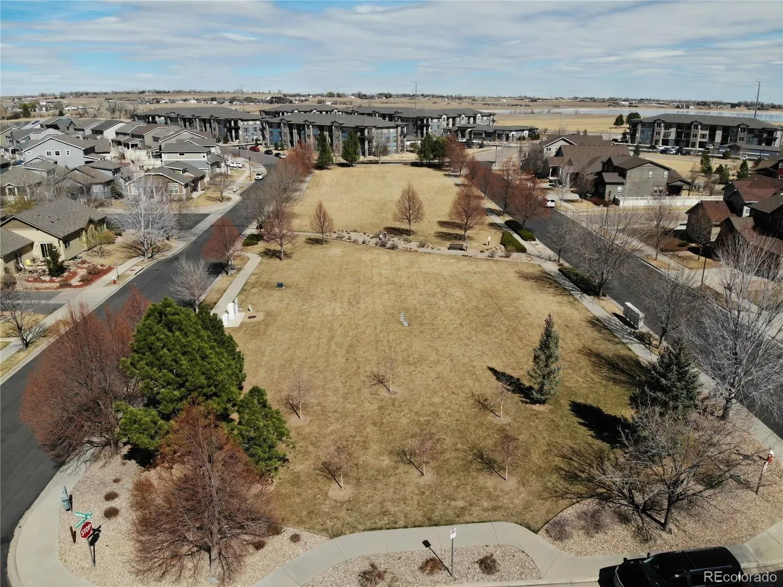 03202026202536 1600 31