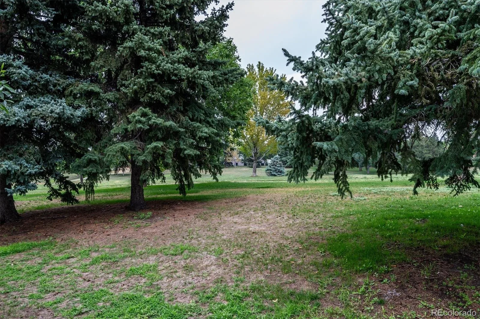 14767 E Wagon Trail Drive Aurora CO 80015 | MLS #REC6075213 08052026232649 1600 29