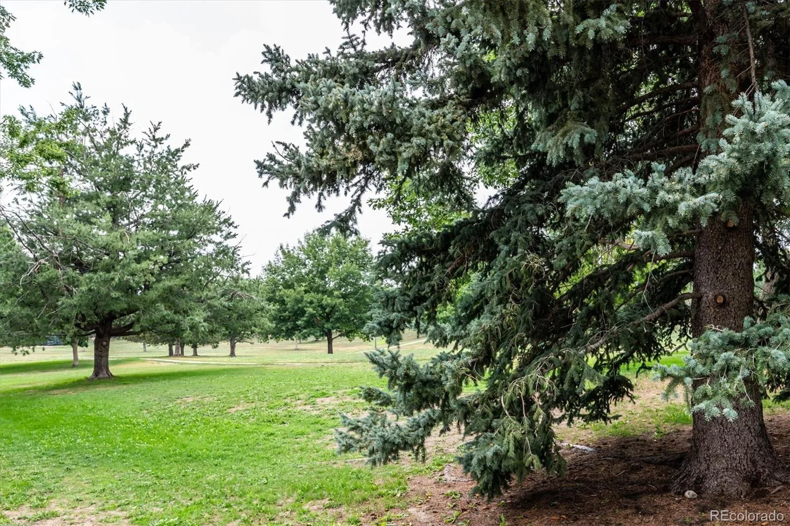 14767 E Wagon Trail Drive Aurora CO 80015 | MLS #REC6075213 08052026232649 1600 30
