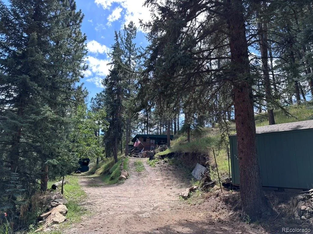 6897 High Drive Morrison CO 80465 | MLS #REC6083892 08182026170923 1024 1