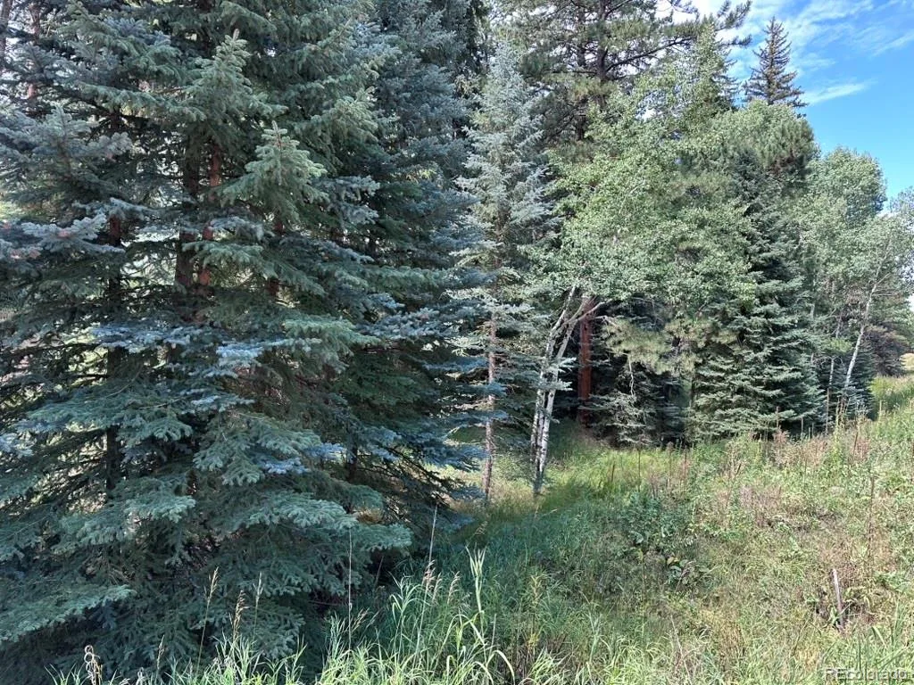 6897 High Drive Morrison CO 80465 | MLS #REC6083892 08182026170923 1024 20