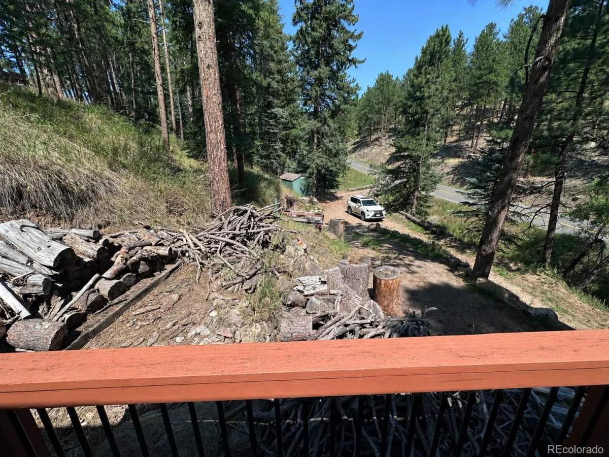 6897 High Drive Morrison CO 80465 | MLS #REC6083892 08182026170923 1200 19