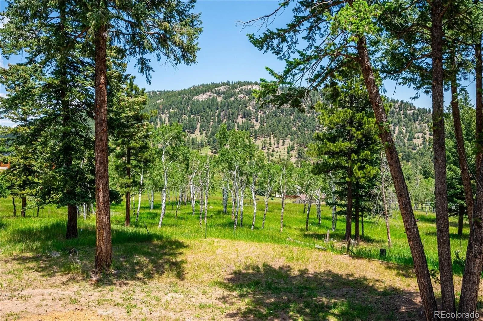 6528 Modoc Lane Evergreen CO 80439 | MLS #REC6090145 08112026161730 1600 32