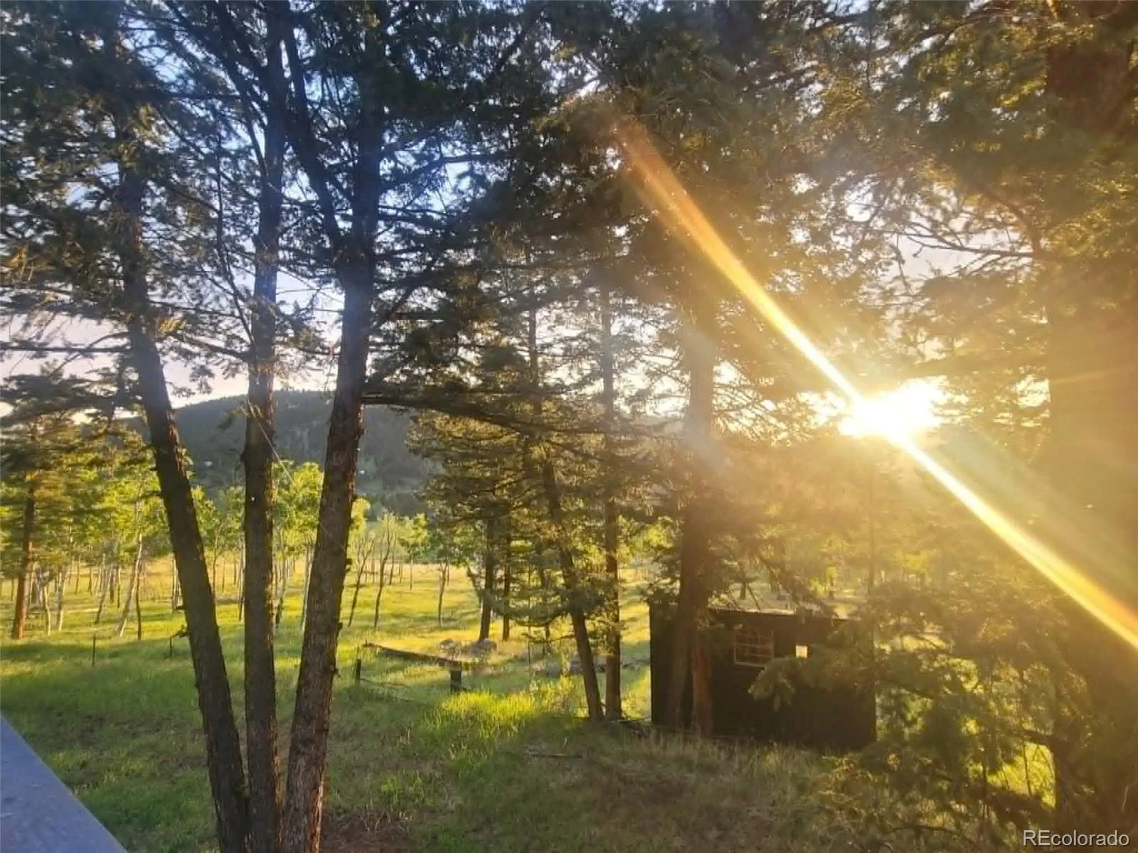 6528 Modoc Lane Evergreen CO 80439 | MLS #REC6090145 08112026161730 1600 44