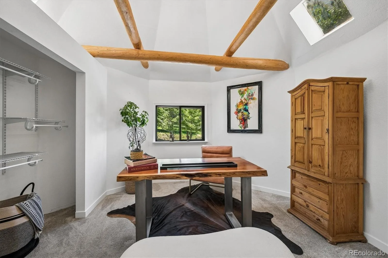 6528 Modoc Lane Evergreen CO 80439 | MLS #REC6090145 08112026161730 1600 6