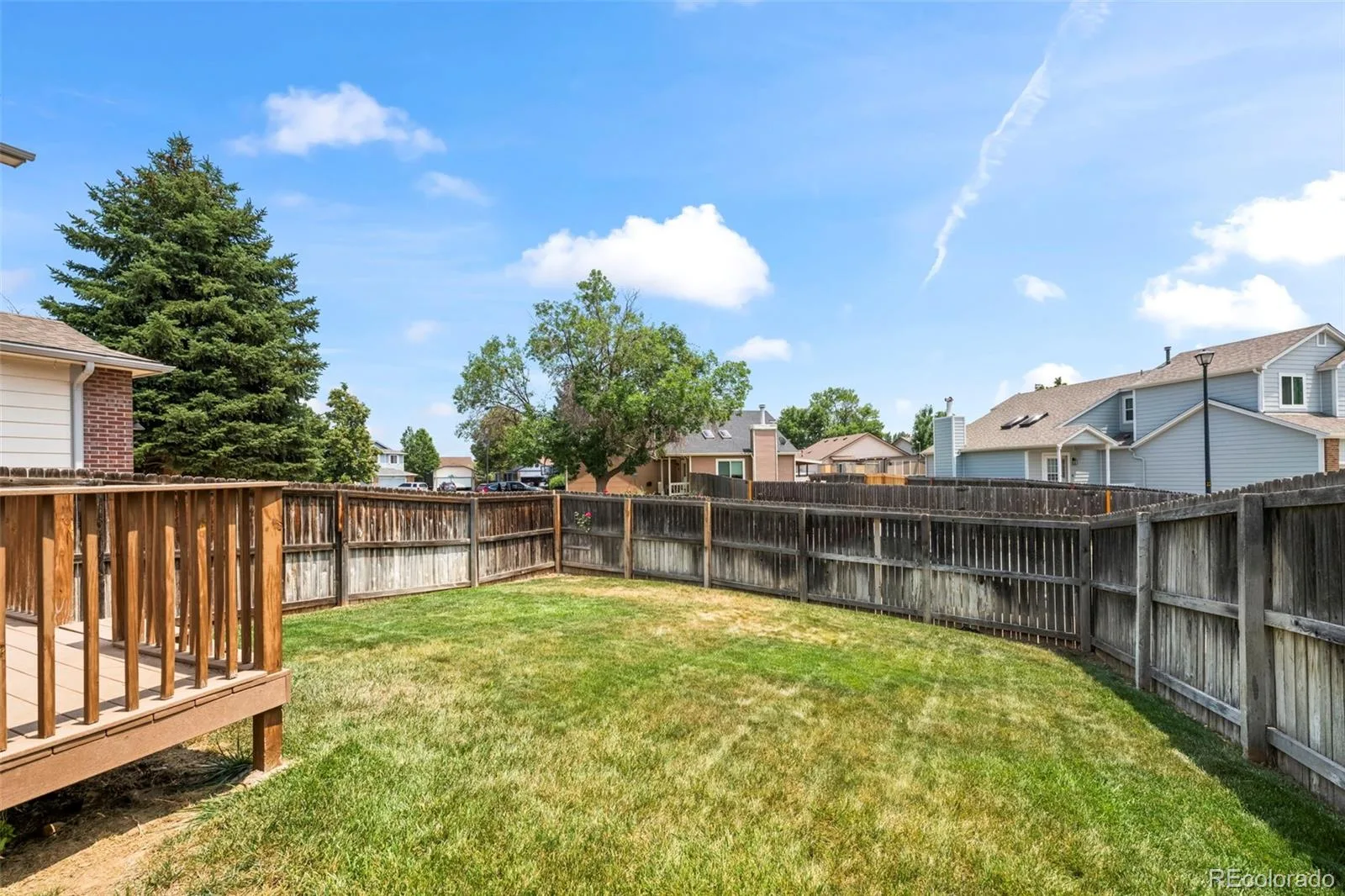 1971 W 101st Court Thornton CO 80260 | MLS #REC6090985 06262026183216 1600 10