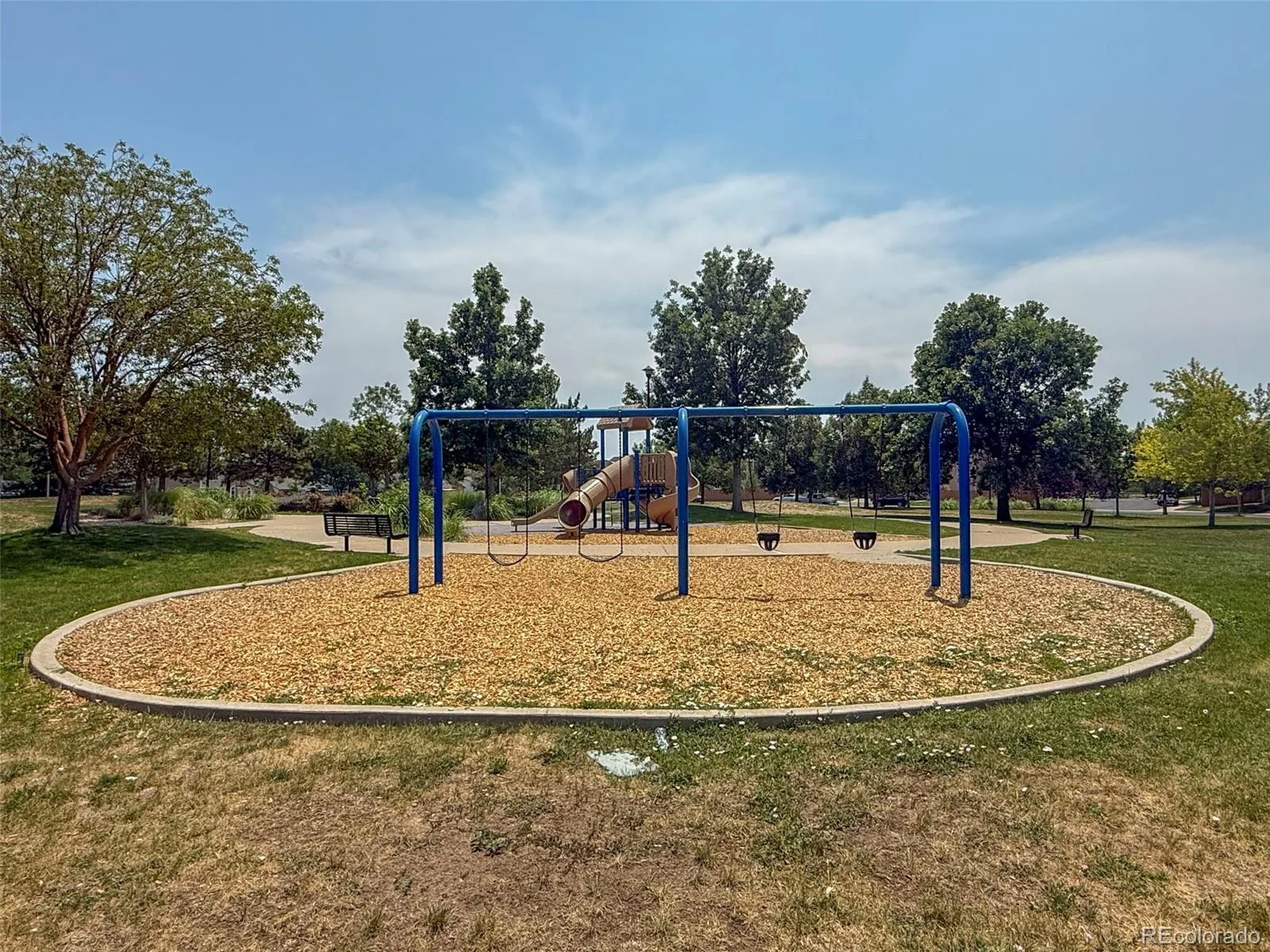 1971 W 101st Court Thornton CO 80260 | MLS #REC6090985 06262026183216 1600 12
