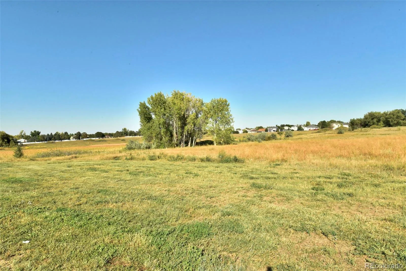 1971 W 101st Court Thornton CO 80260 | MLS #REC6090985 06262026183216 1600 14