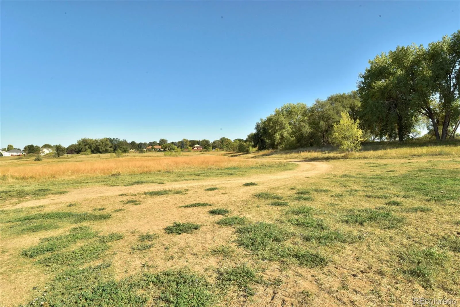 1971 W 101st Court Thornton CO 80260 | MLS #REC6090985 06262026183216 1600 15