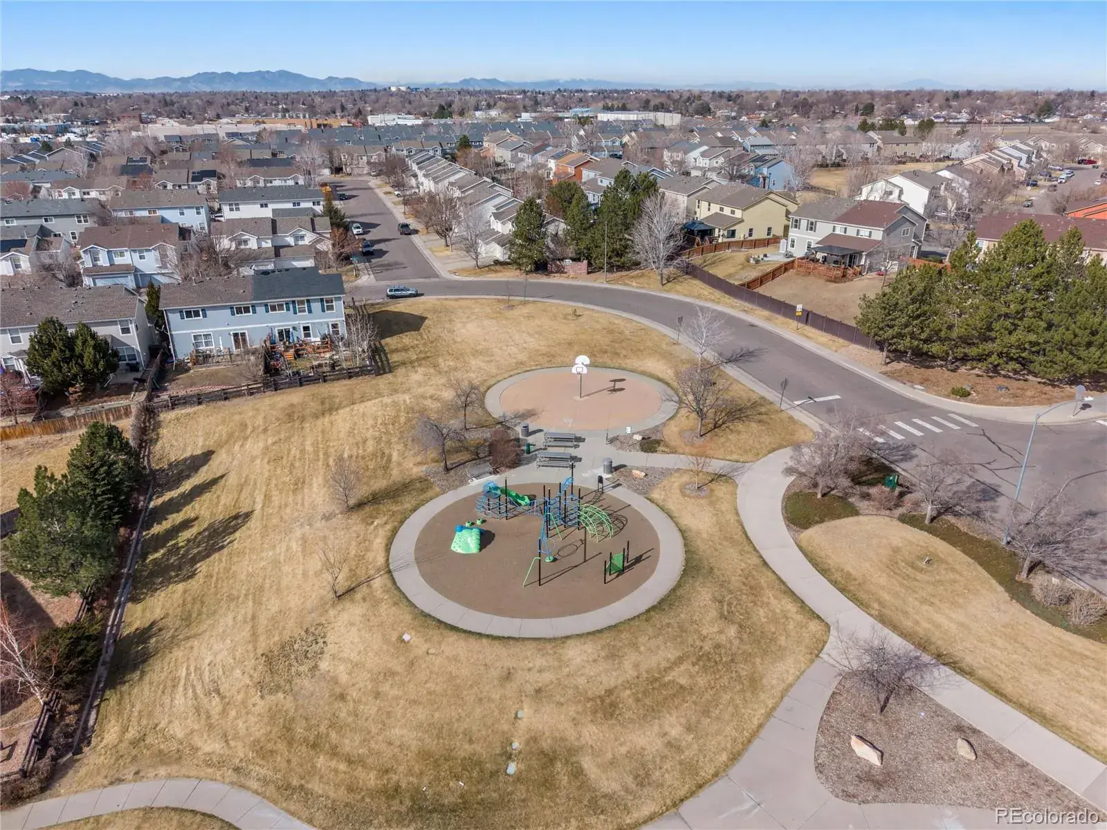 02152026232047 1600 29