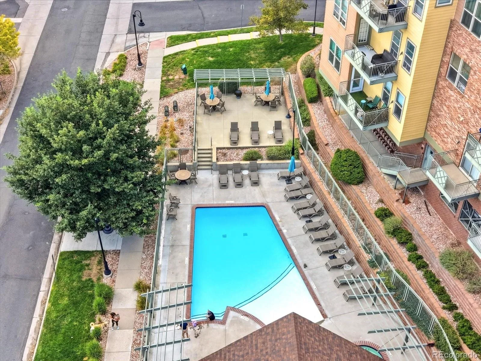 7931 W 55th Avenue #313 Arvada CO 80002 | MLS #REC6095202 08272026171950 1600 31