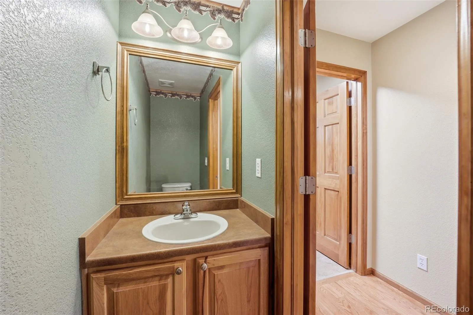 12097 Desert Hills Street Parker CO 80138 | MLS #REC6096900 06092026020047 1600 16