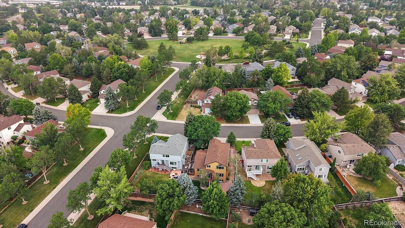 16141 Bluebonnet Drive Parker CO 80134 | MLS #REC6097560 08062026145322 1600 38