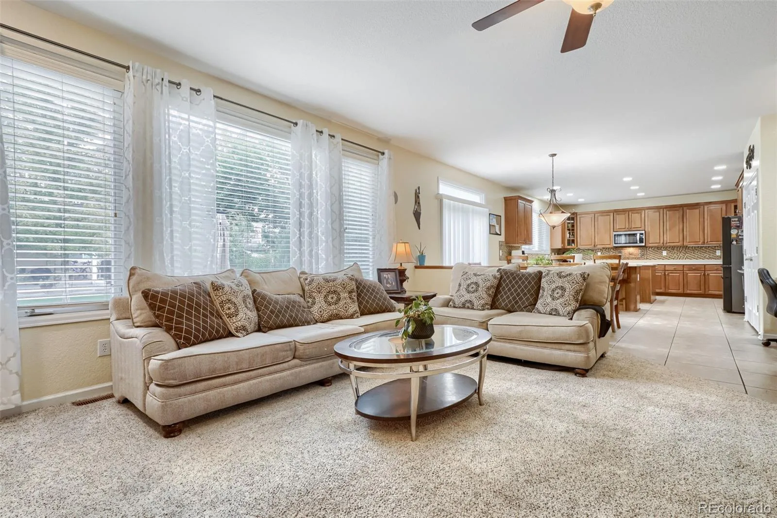 6175 S Fundy Court Aurora CO 80016 | MLS #REC6104013 10012026212842 1600 12